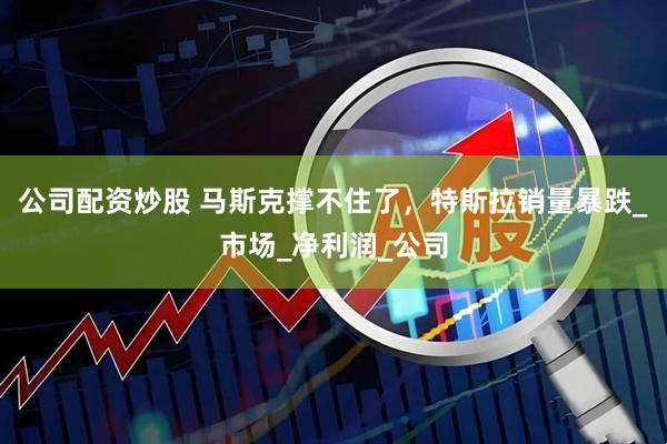 公司配资炒股 马斯克撑不住了，特斯拉销量暴跌_市场_净利润_公司