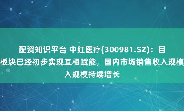 配资知识平台 中红医疗(300981.SZ)：目前各业务板块已经初步实现互相赋能，国内市场销售收入规模持续增长